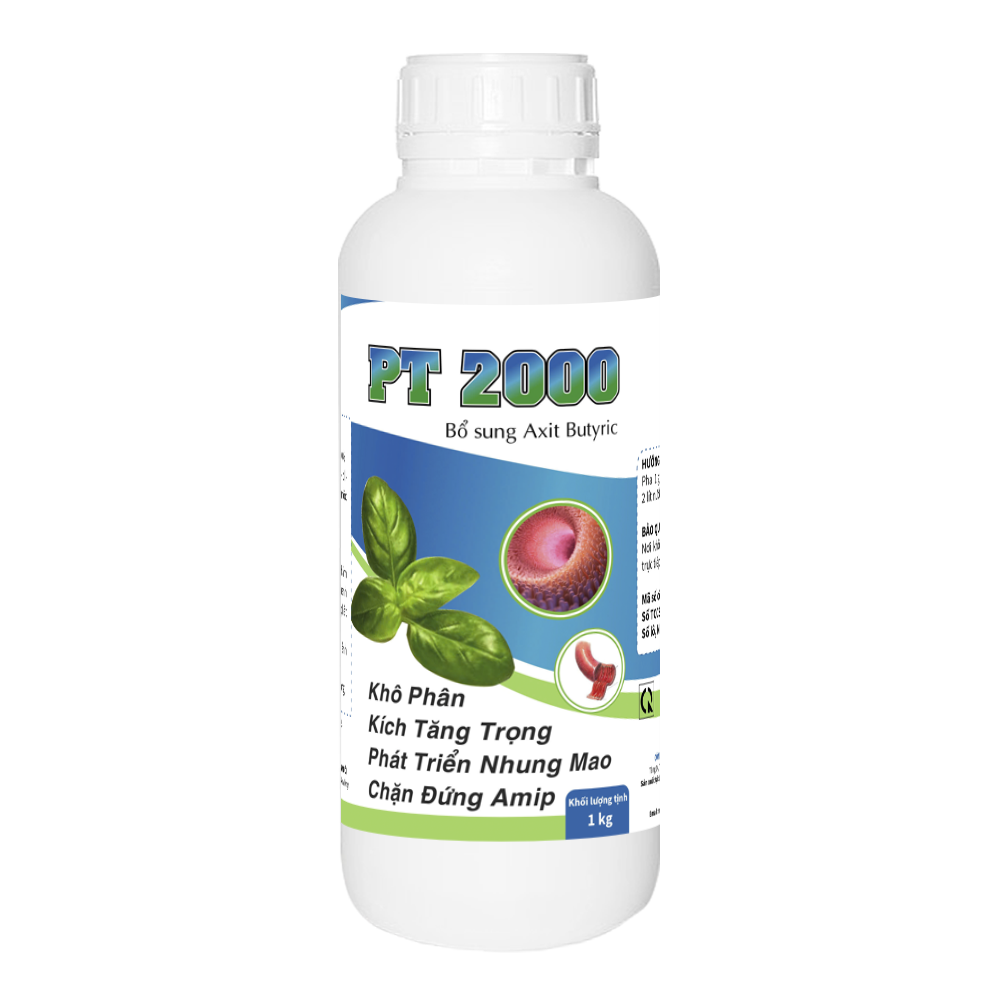 PT 2000
