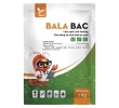 BALA BAC