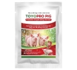 TOYOPRO PIG