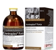 Aminoplex® Forte (PET)