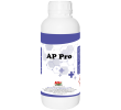 AP Pro