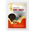 EMS - NN01