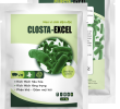 CLOSTA-EXCEL