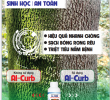Al-Curb
