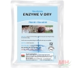 Enzyme V Dry