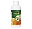 GREEN C LIQUID