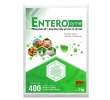 ENTEROZYME