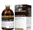 Iron-Dex 200® B12