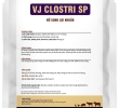 VJ  CLOSTRI  SP