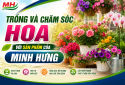 TRỒNG VÀ CHĂM SÓC HOA VỚI SẢN PHẨM CỦA MINH HƯNG