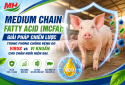 MEDIUM CHAIN ​​FATTY ACID (MCFA): A STRATEGIC SOLUTION FOR PREVENTING VIRAL AND BACTERIAL DISEASES IN MODERN LIVESTOCK FARMING