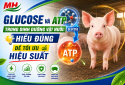 GLUCOSE AND ATP IN ANIMAL NUTRITION: UNDERSTANDING THEM CORRECTLY FOR OPTIMAL PERFORMANCE