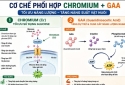GLUCOSE AND ATP IN ANIMAL NUTRITION: UNDERSTANDING THEM CORRECTLY FOR OPTIMAL PERFORMANCE