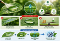 EVALUATING THE EFFECTIVENESS OF SPREADING AGENTS IN CROP CULTIVATION