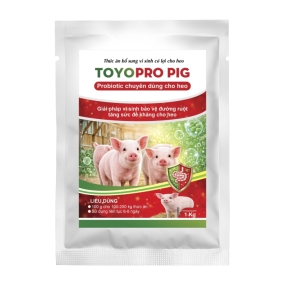 TOYOPRO PIG