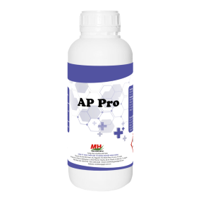 AP Pro