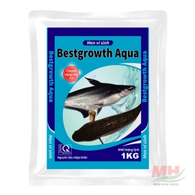 Bestgrowth Aqua 