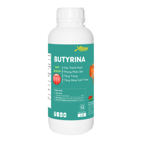 BUTYRINA
