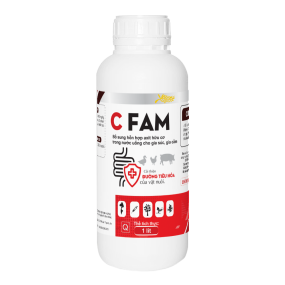 C FAM