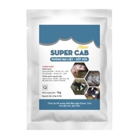 SUPER CAB