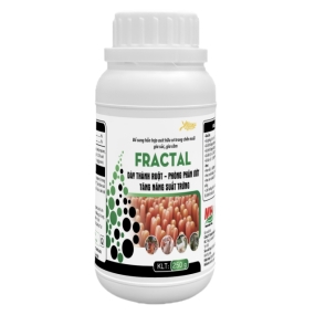 FRACTAL