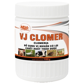 VJ CLOMER