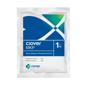 CLOVER MKP/MKP-MH