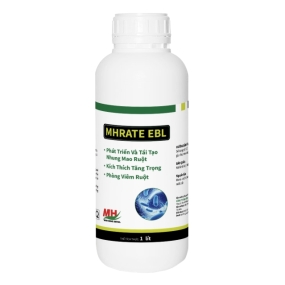 MHRATE EBL 