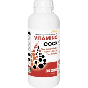 VITAMINO COCK