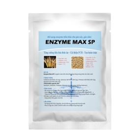 ENZYME MAX SP