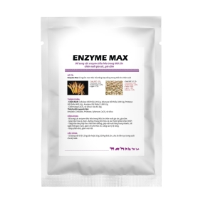 ENZYME MAX