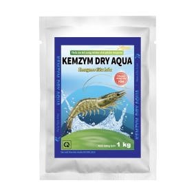 Kemzym Dry Aqua