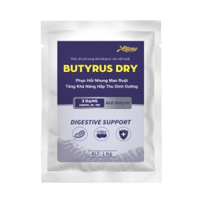 BUTYRUS DRY 