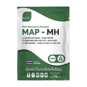 MAP 12-61-00/MAP-MH