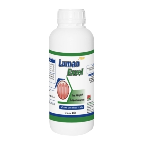LUMAN EXCEL 