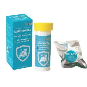 SOUTHWELL