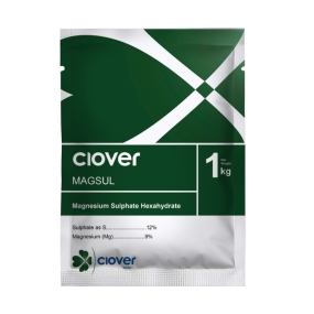 CLOVER MAGSUL/BITTERMAG MH