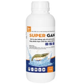 SUPER GAN