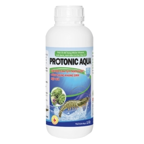 Protonic Aqua
