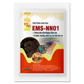 EMS - NN01