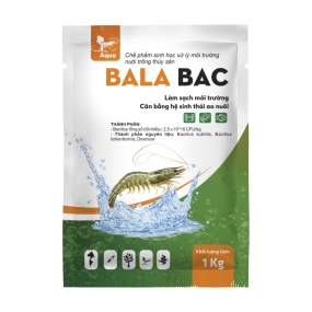 BALA BAC