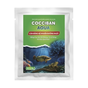 COCCIBAN AQUA