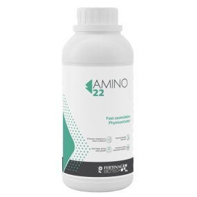 AMINO 22/MIHU ORGAXTRA