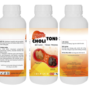 CHOLITONIC