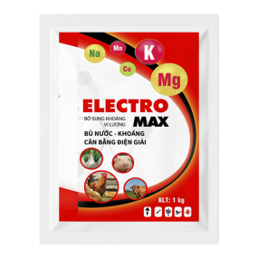 ELECTRO MAX