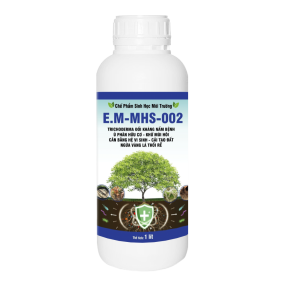 E.M-MHS-002