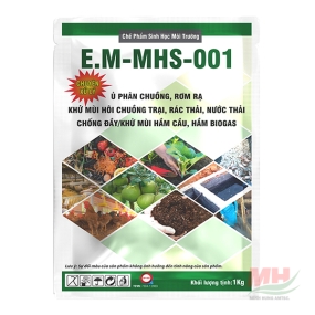 E.M-MHS-001