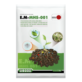 E.M-MHS-001