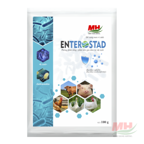 ENTEROSTAD