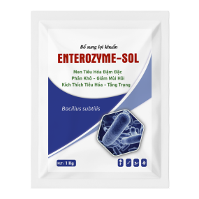 ENTEROZYME-SOL